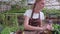 A young girl in an apron works in a greenhouse and transplants annual plants and flowers