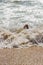 Young Girl Barely Keeping Her Head Above Water In the Foamy Ocean Surf On The Beach