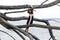 Young girl at the beach in driftwood branches