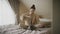 A young girl in beige clothes plays with a British cat on a bed in the bedroom. Lady rests on bed