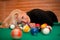 Young girl with billiard balls