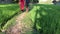 Young girl and boy walking along the narrow path