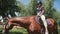 A young girl caresses a horse while riding