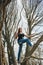 Young girl climbing a tree on a fine spring day