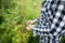 Young girl collects raspberries in the forest