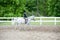 Young girl competing at horse show.