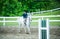 Young girl competing at horse show.