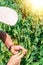 Young girl cropping green lettuce from the vegetable bed