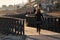 Young girl with curly hair fluttering in the wind is riding a bicycle on wooden bridge at sunset on the promenade road