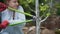 A young girl cuts a pear branch with garden clippers, slow- motion