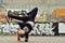 Young girl dancing breakdance on the street