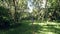 Young girl dancing whlile walking in the exotic forest at summer.