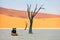 Young girl in Deadvlei Namibia