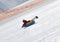 Young girl downhill on snow tube on ski resort at sunny day in snowy mountains