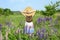 A young girl in a dress and hat stands with her back against the background of a blooming lupine field