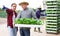 Young girl farmer buying trays of seedlings at agricultural warehouse