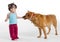 Young girl feeding treat to dog