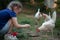 young girl feeds chickens and cares for animals, agriculture