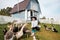 A young girl feeds domestic birds, ducks, hens, geese, turkeys in the yard of a rural house.