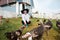 A young girl feeds domestic birds, ducks, hens, geese, turkeys in the yard of a rural house.