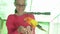 Young girl feeds parrots Lovebird stock footage video