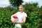 Young girl gardener in white T-shirt gather a harvest raspberry