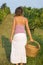 Young girl in grape harvest with big wicker basket for storing g
