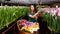 Young girl in green clothes works in a greenhouse of flowers Tulips