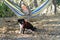 Young Girl in a Hammock Playing with Dog