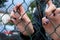 Young girl hands through green steel net