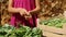 Young girl hands harvesting pea pods