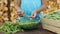 Young girl hands shelling peas into glass bow