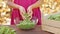 Young girl hands stirring peas in glass bowl