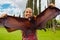 Young girl holding in hands giant flying fox