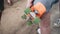 A young girl holding a skateboard. Close up. Sporty girl.