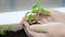 Young girl holds out handful of soil with little green plant. Concept and symbol of growth, care, sustainability