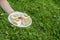 A young girl holds a plate with four small sandwiches with melted cheese ,cucumber slices and one plum on the grass
