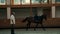 young girl on horse doing circles in big hall