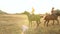 Young girl on horseback trying to tame a horse.