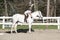 Young girl hugging horse at riding lesson.