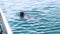 Young girl learning to swim breaststroke in sea. Sport concept