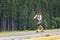 Young girl longboarding downhill on hillside road