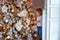 Young girl near a Christmas tree