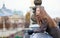 Young girl on a Parisian bridge