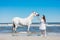Young girl petting white horse on the beach.