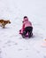 Young girl in pink coat sledding down gentle hill with dog