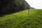 Young girl in a pink dress walks in a green field along the forest trees