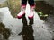 Young girl in pink  rubber boots standing in a puddle after a rain outdoor on spring day