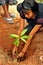 Young girl planting tree