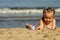 Young girl playing with sand o